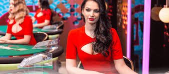 leao bet 77